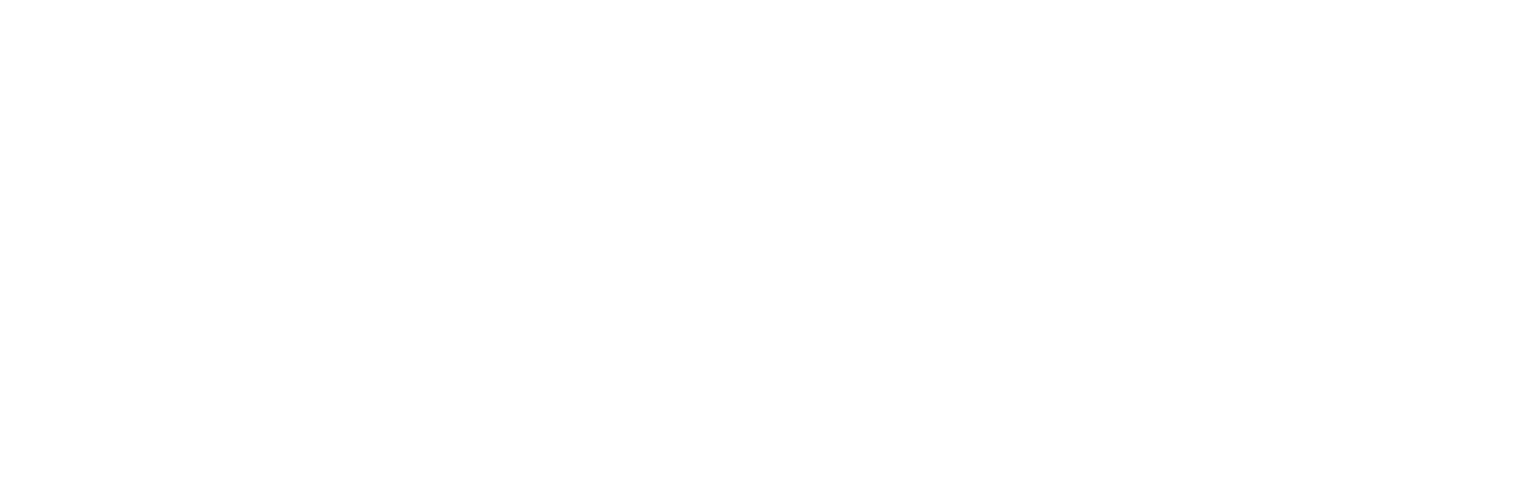 Advanced Systems